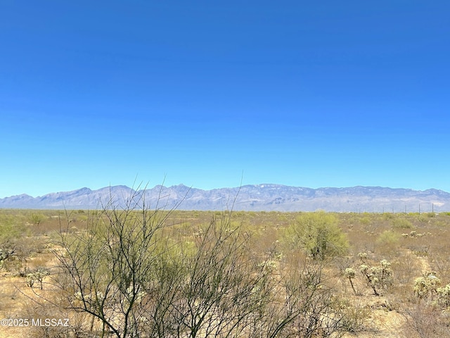 10211 E Hummingbird Meadow Way, Tucson, AZ 85747 - mountain view