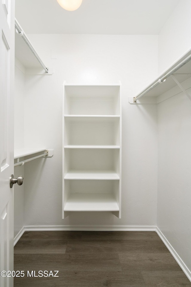 spacious closet featuring wood finished floors