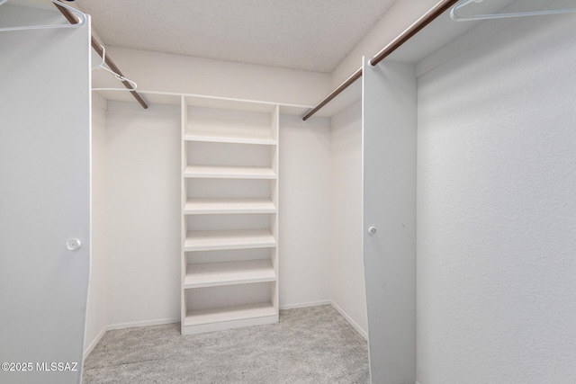 walk in closet featuring carpet flooring