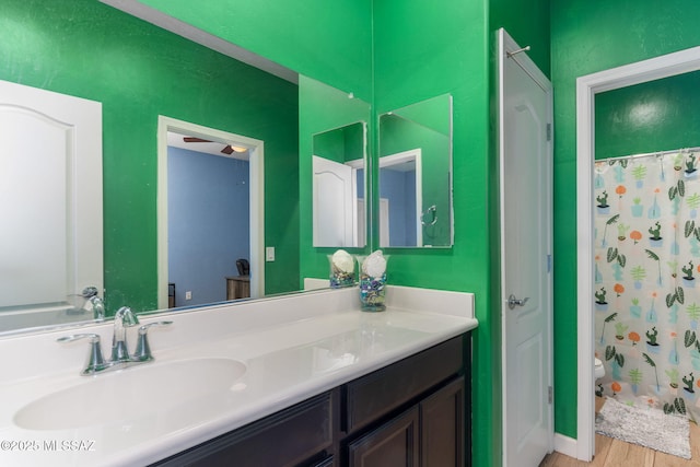 full bathroom featuring a shower with shower curtain, wood finished floors, toilet, and vanity