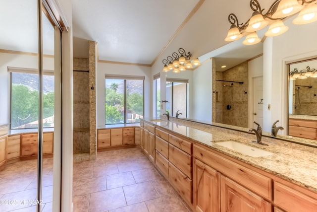 5476 N Indian Trl, Tucson, AZ 85750 - bathroom featuring a tile shower, lofted ceiling, ornamental molding, and a sink