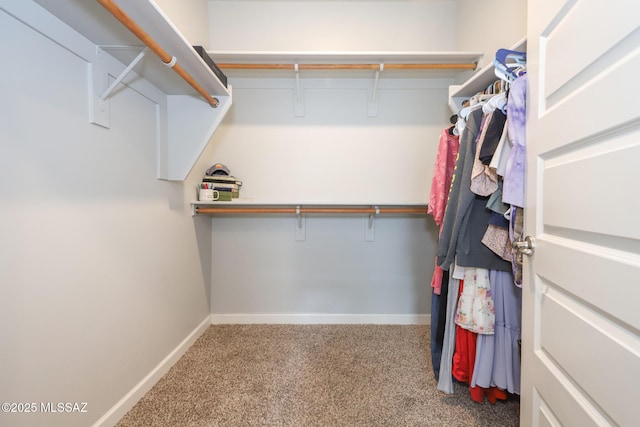 491 W Camino Del Toro, Vail, AZ 85641 - spacious closet featuring carpet floors