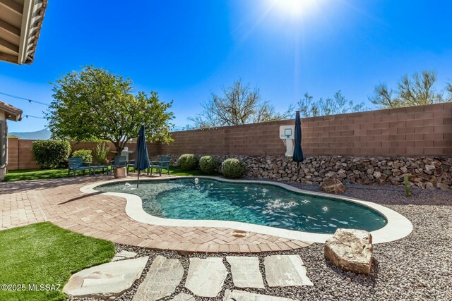 10658 E Rose Hill St, Tucson, AZ 85747 - view of swimming pool with a fenced in pool, a patio, and a fenced backyard