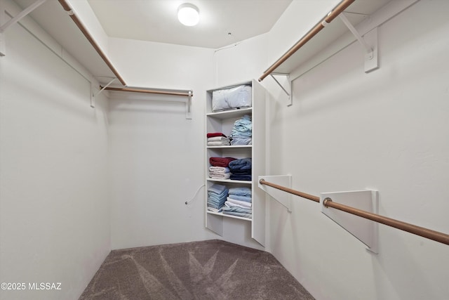 spacious closet featuring carpet