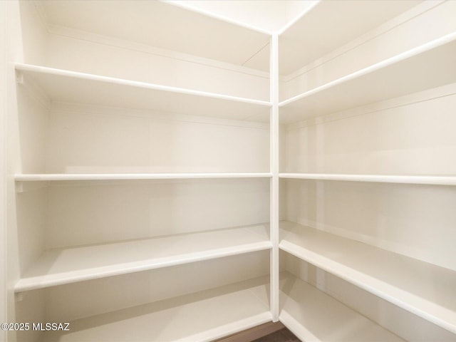 11044 S Rila Dr, Vail, AZ 85641 - view of pantry