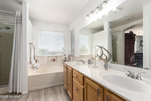 3825 W Perseus St, Tucson, AZ 85742 - full bath featuring a bath, a shower stall, and a sink