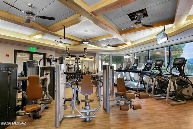 38876 S Serenity Ln, Tucson, AZ 85739 - exercise room with ceiling fan, coffered ceiling, and wood finished floors