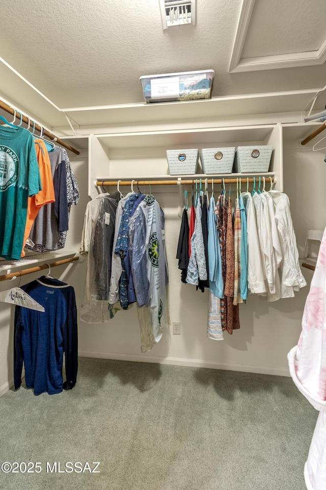 7361 E Riverbank Loop, Tucson, AZ 85715 - walk in closet featuring carpet floors