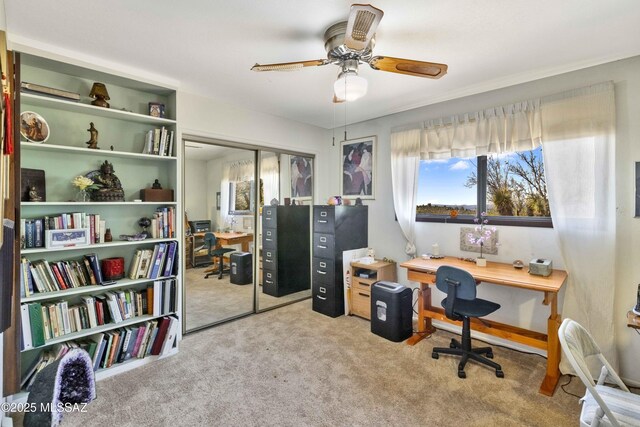280 W Oak Hills Dr, Oracle, AZ 85623 - office featuring carpet flooring and ceiling fan