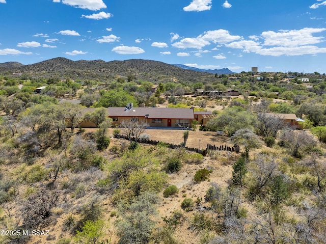 280 W Oak Hills Dr, Oracle, AZ 85623 - mountain view