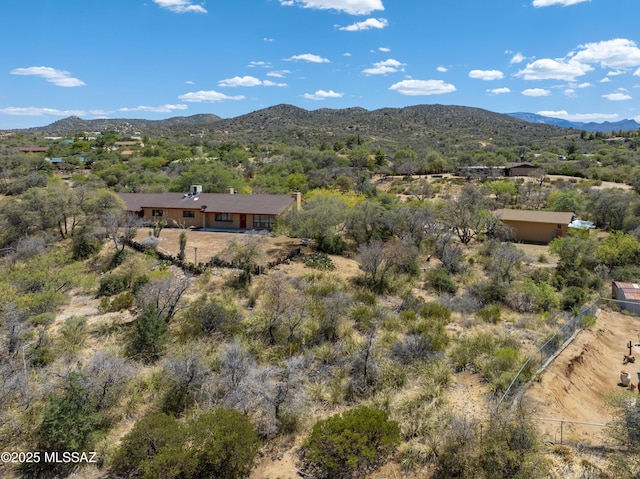 280 W Oak Hills Dr, Oracle, AZ 85623 - mountain view