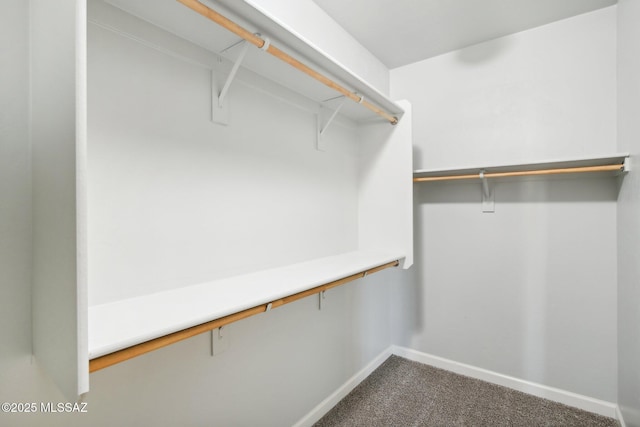 walk in closet with dark carpet