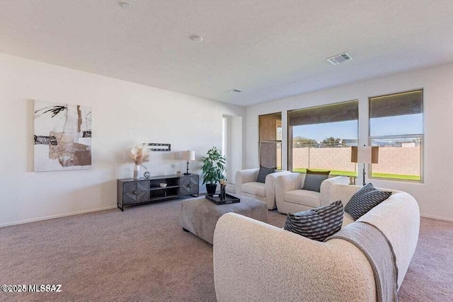 10965 N Cormac Ave, Tucson, AZ 85742 - living area featuring carpet and baseboards