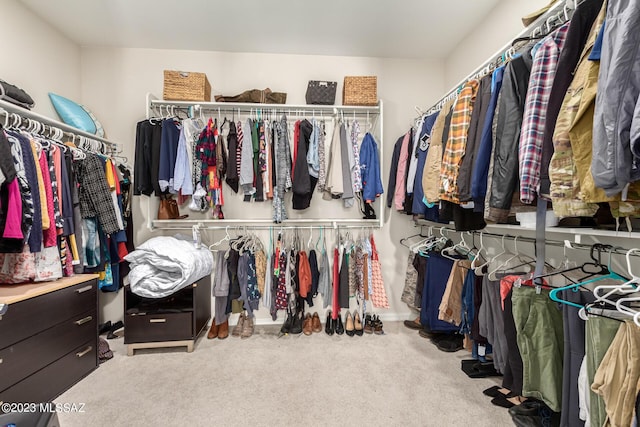 walk in closet with carpet floors