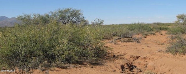 13AC Apache Pass Rd, Bowie, AZ 85605