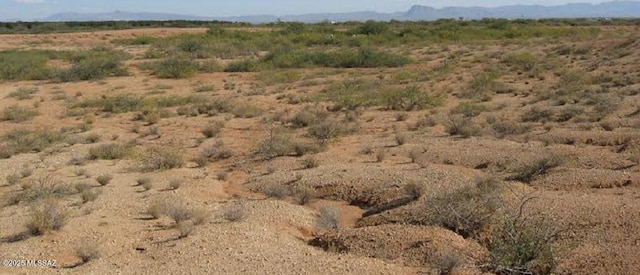 13AC Apache Pass Rd, Bowie, AZ 85605
