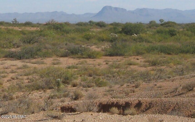 13AC Apache Pass Rd, Bowie, AZ 85605