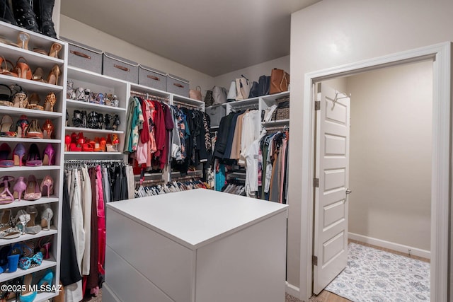 view of spacious closet