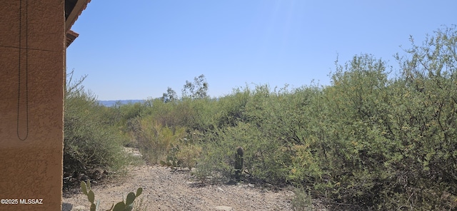 6651 N Campbell Ave Apt 152, Tucson, AZ 85718 - view of nature