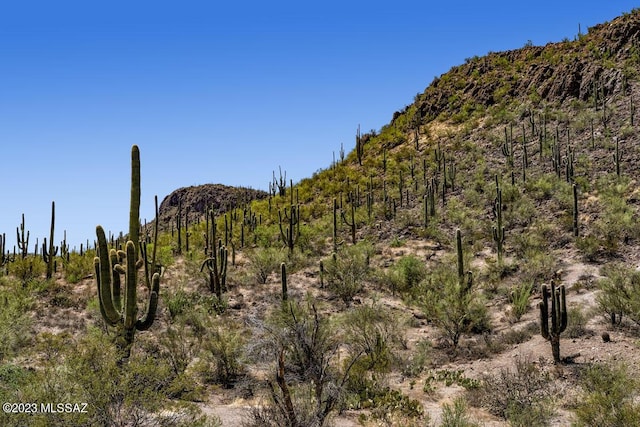 view of mountain feature