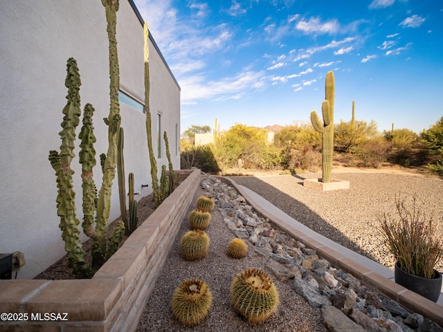 2540 W Oasis Springs Ct, Tucson, AZ 85742 - view of yard