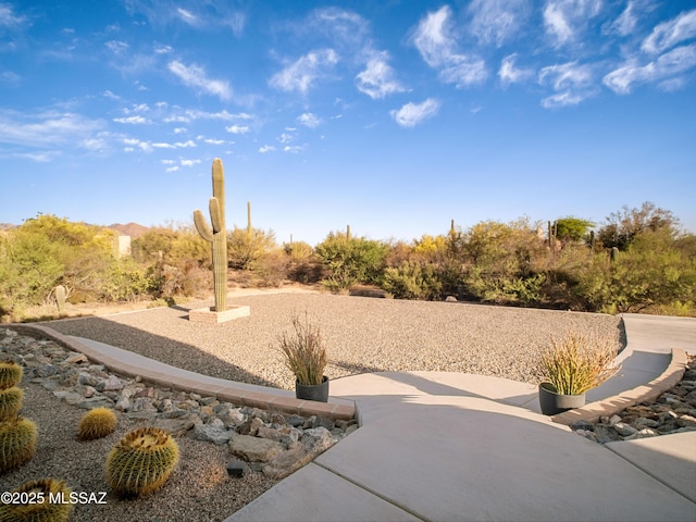 2540 W Oasis Springs Ct, Tucson, AZ 85742 - view of yard featuring a patio area