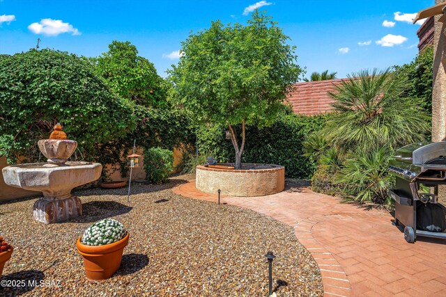 view of yard with a patio and fence