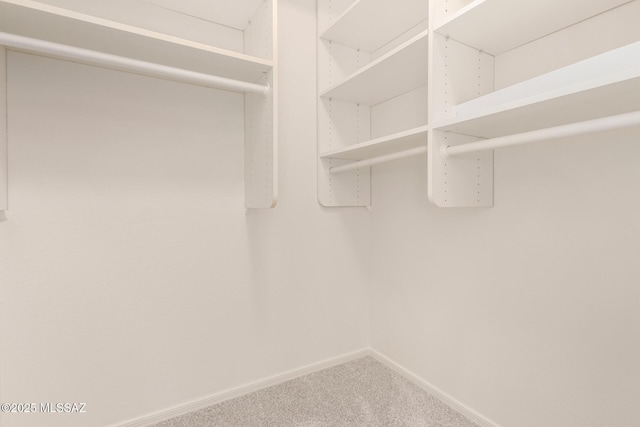 walk in closet featuring carpet