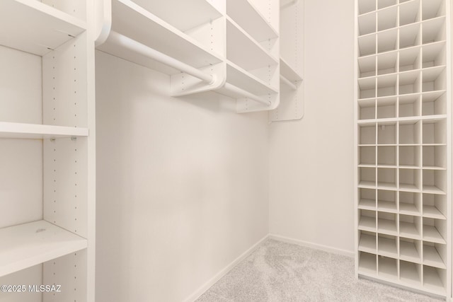 spacious closet featuring carpet