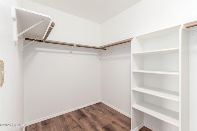 walk in closet featuring wood finished floors