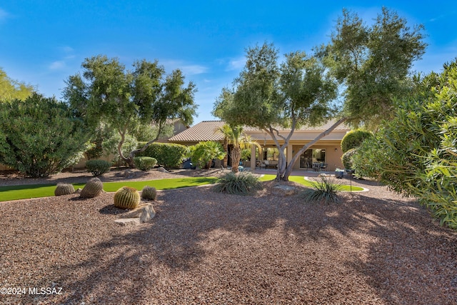 rear view of house featuring a patio area and stucco siding