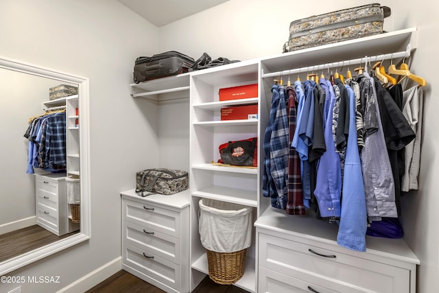 32968 S Cattle Trl, Oracle, AZ 85623 - spacious closet with dark wood finished floors