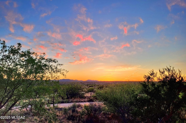 32968 S Cattle Trl, Oracle, AZ 85623 - mountain view