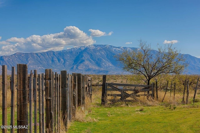 32968 S Cattle Trl, Oracle, AZ 85623 - property view of mountains