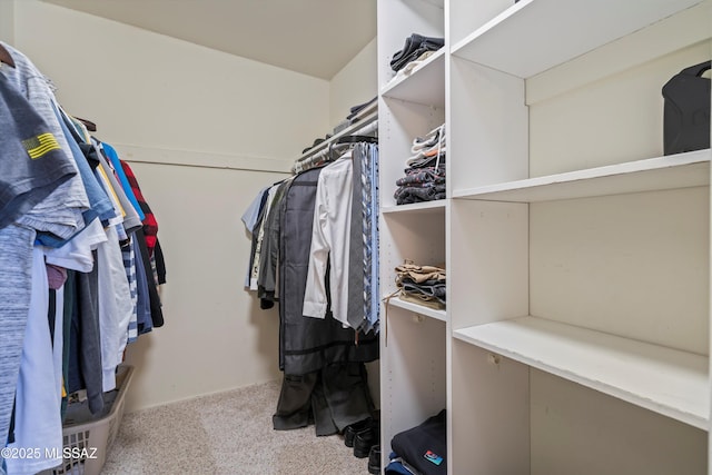 9061 E 39th St, Tucson, AZ 85730 - walk in closet with carpet