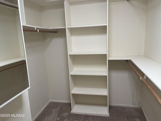 942 N Rancho Del Jefe Loop, Tucson, AZ 85748 - spacious closet featuring carpet flooring