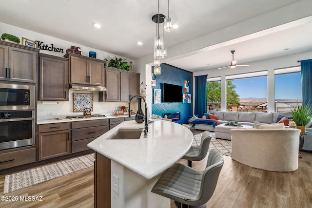 kitchen featuring open floor plan, appliances with stainless steel finishes, a sink, and light wood-style flooring