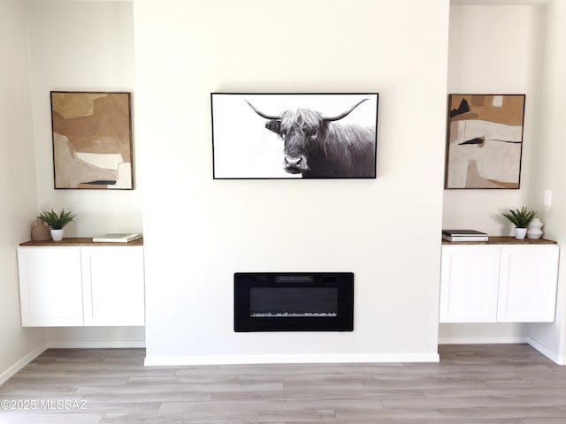 room details with a glass covered fireplace, baseboards, and wood finished floors