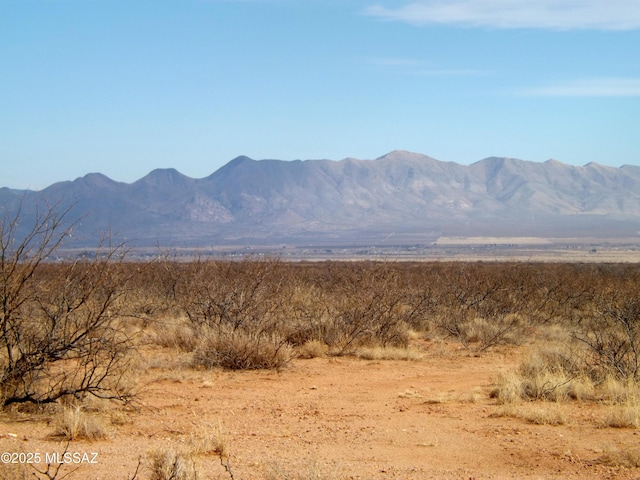 LOT56 N Last Trl Unit 56, Elfrida, AZ 85610
