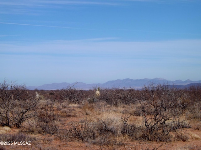 LOT56 N Last Trl Unit 56, Elfrida, AZ 85610