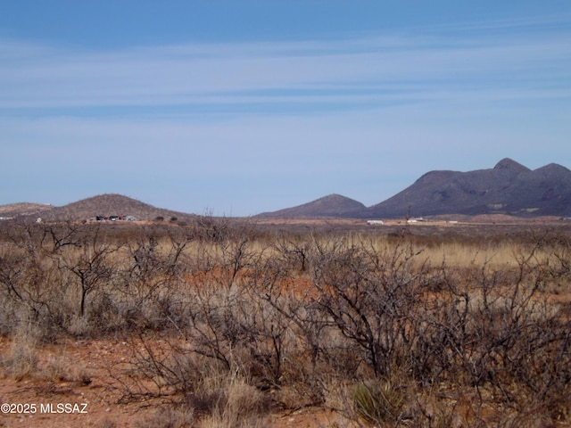 LOT56 N Last Trl Unit 56, Elfrida, AZ 85610