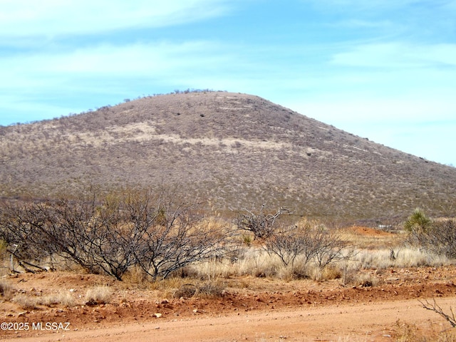 LOT56 N Last Trl Unit 56, Elfrida, AZ 85610