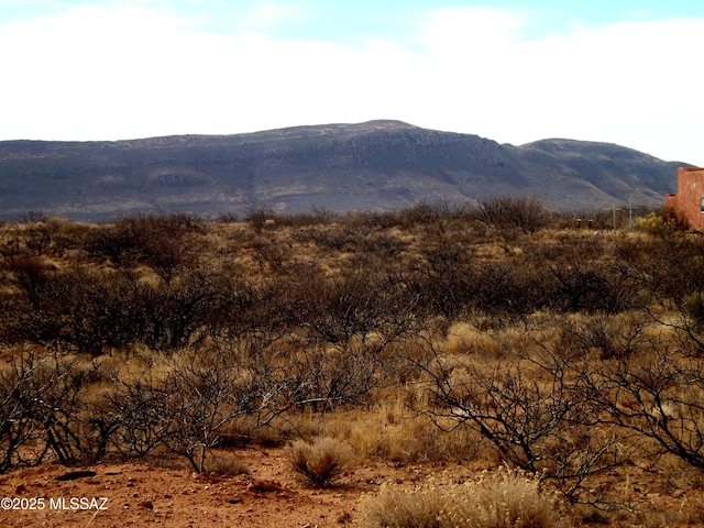 LOT56 N Last Trl Unit 56, Elfrida, AZ 85610