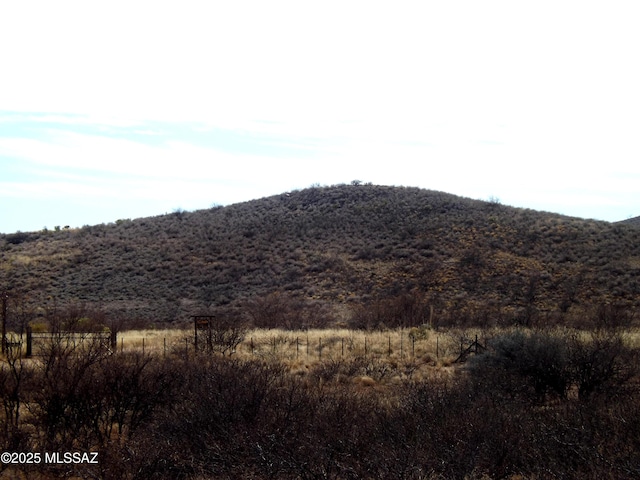 LOT56 N Last Trl Unit 56, Elfrida, AZ 85610