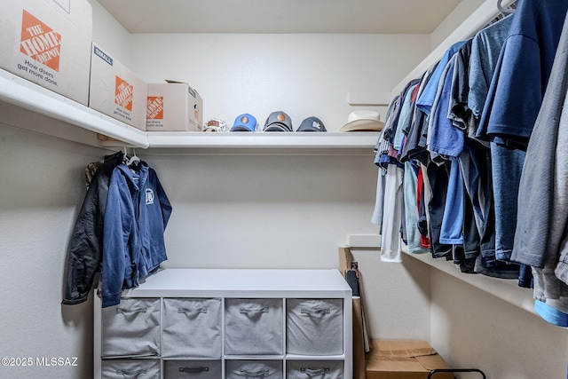 view of walk in closet