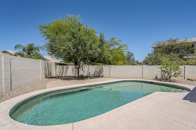 view of swimming pool featuring a fenced in pool and a fenced backyard