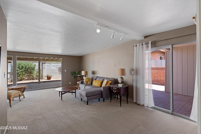3202 W Calle Cereza, Tucson, AZ 85741 - carpeted living room featuring track lighting
