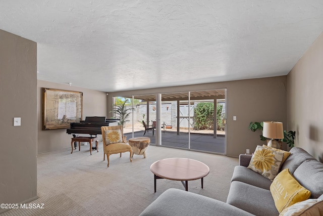 3202 W Calle Cereza, Tucson, AZ 85741 - living area featuring baseboards, carpet floors, a textured ceiling, and plenty of natural light