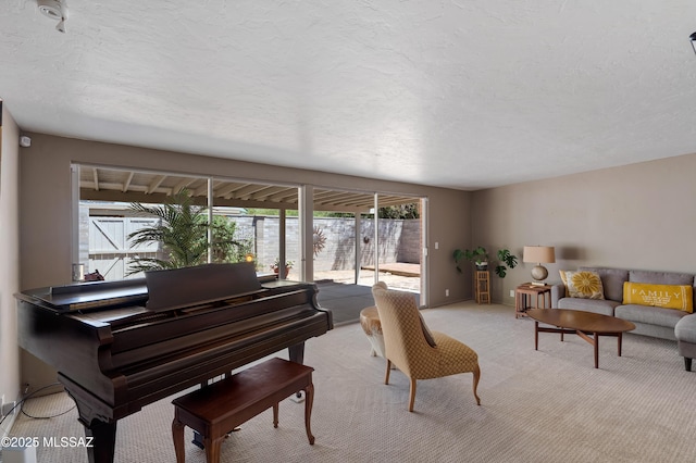 3202 W Calle Cereza, Tucson, AZ 85741 - living area with a textured ceiling and light carpet