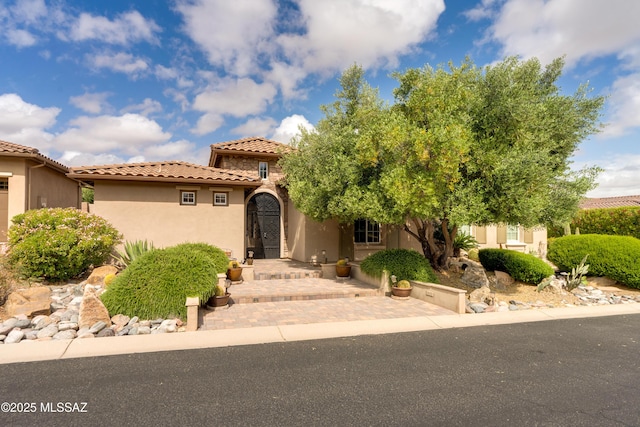 36330 S Desert Sun Dr, Tucson, AZ 85739 - view of front facade with stucco siding and a tile roof